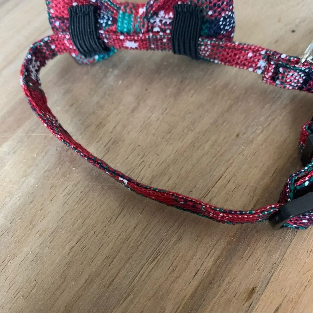 PET COLLAR